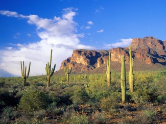 superstition_mountains_tonto_national_forest